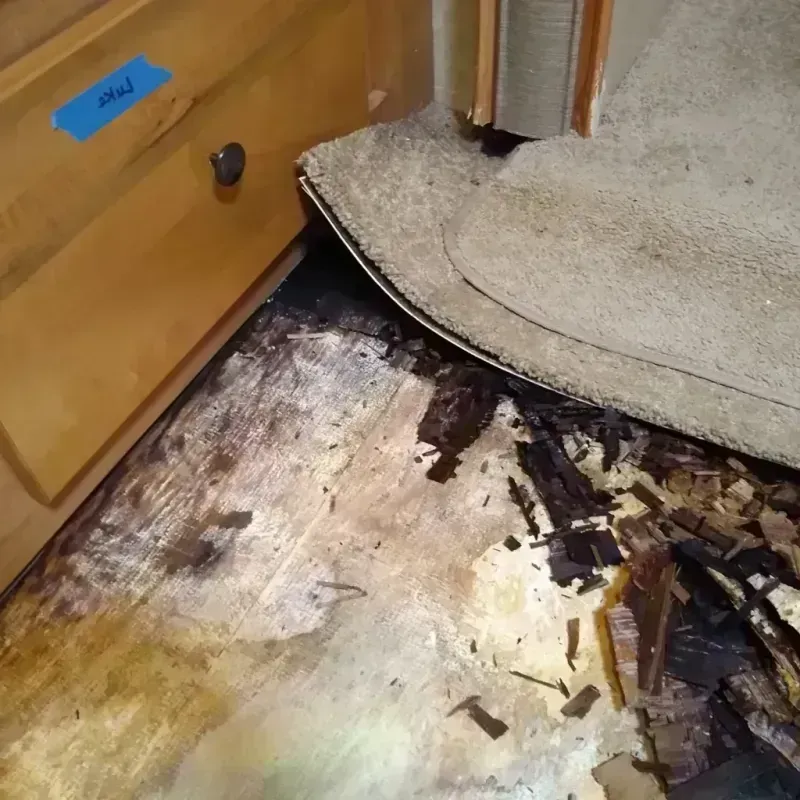 Wood Floor Water Damage in Ottawa, KS